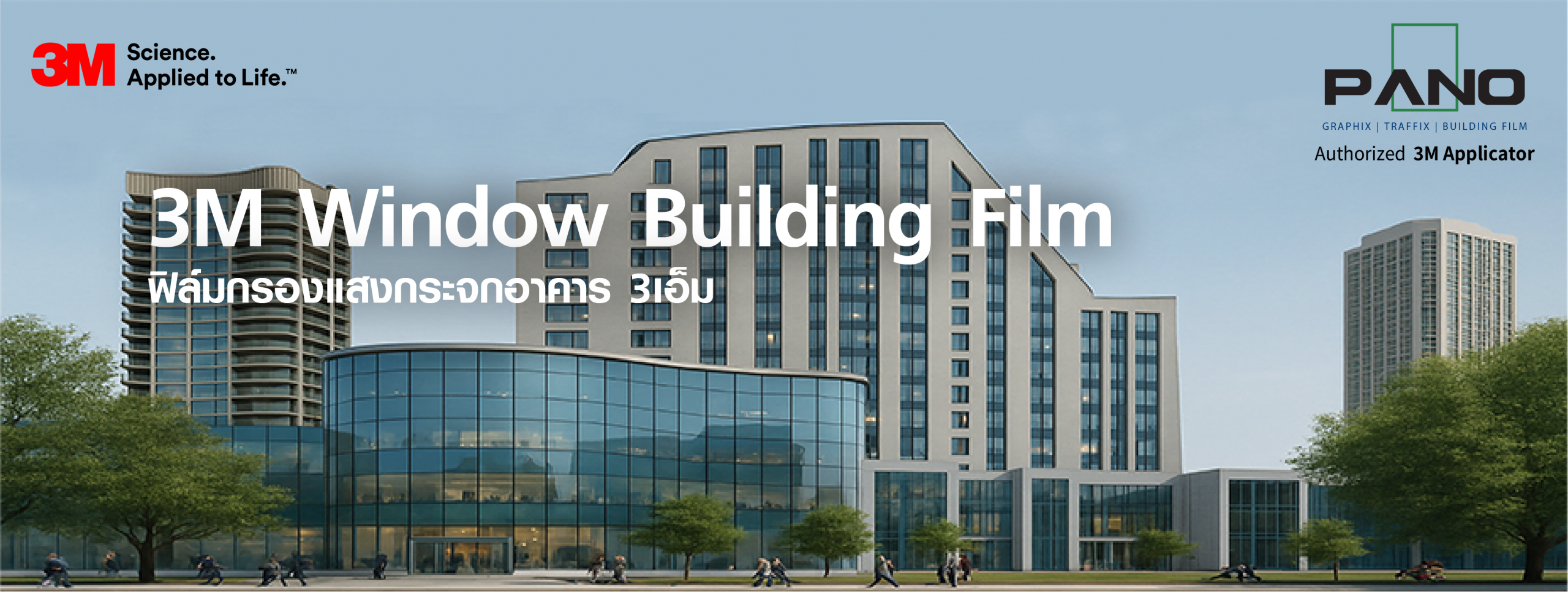 WINDOW FILM